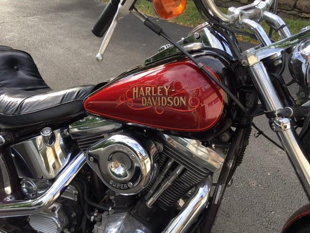 1c04cd51-552f-491c-8298-fad7ba695e05-07192019-cropped-Harley%20Davidson%20Soft%20Tail%20(3)