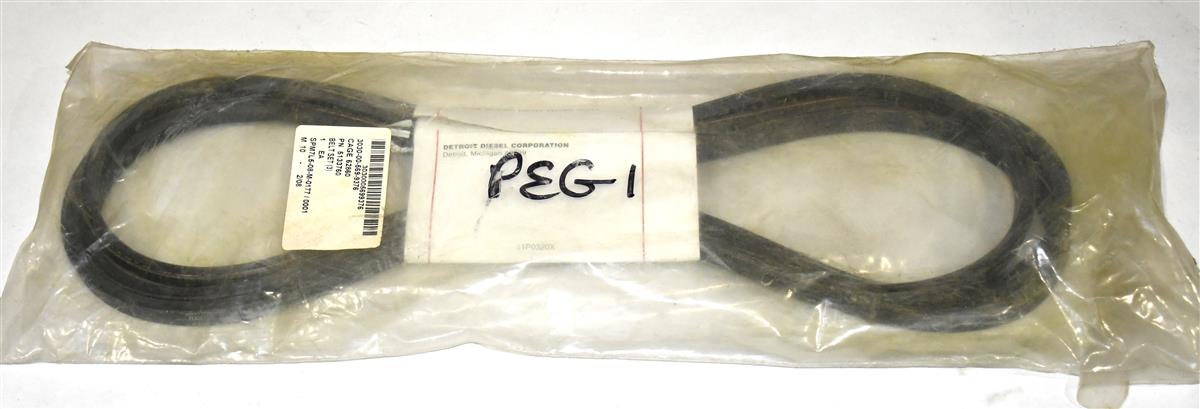 SP-0072 | Belt set (1).JPG