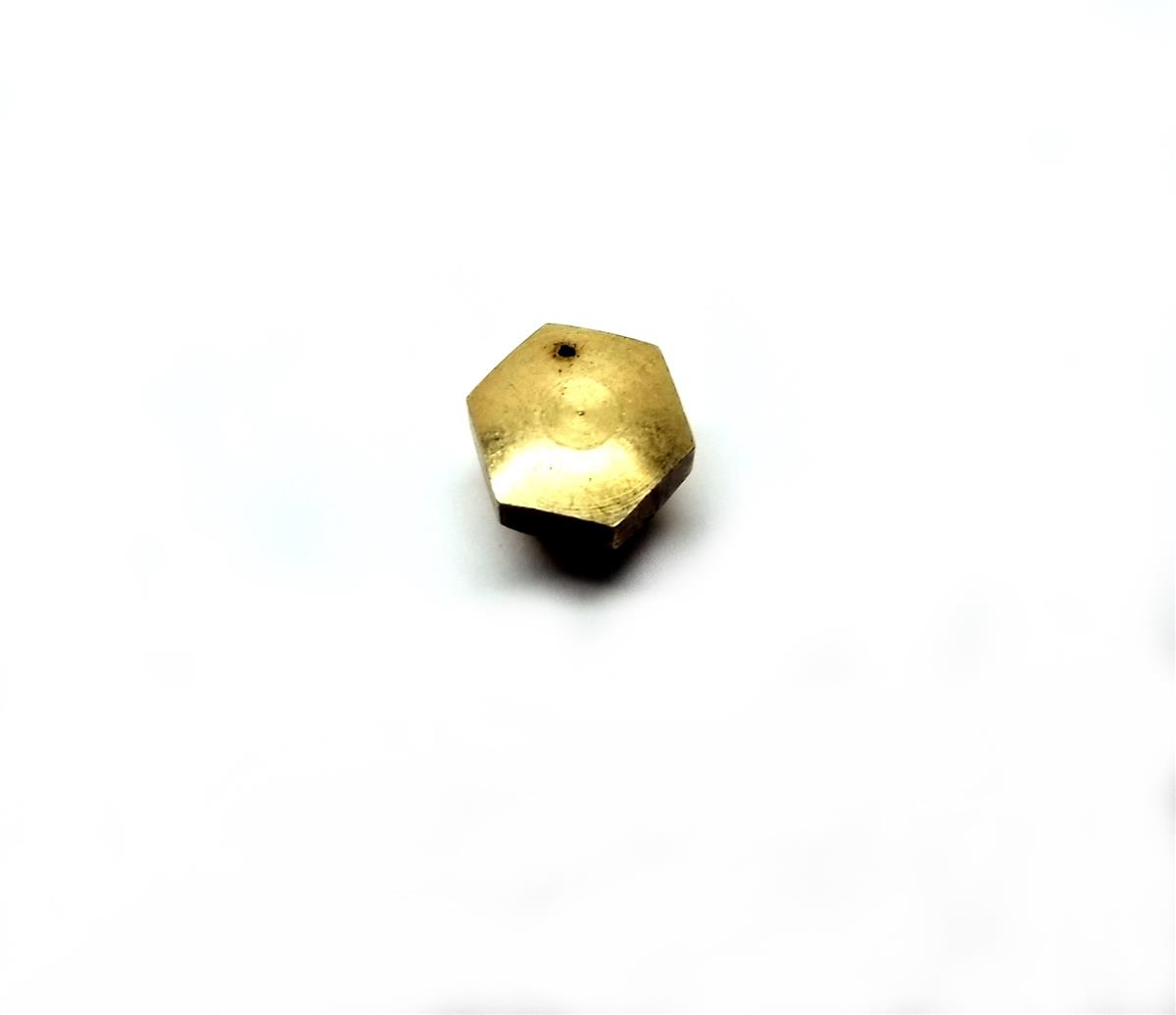 ALL-5308 | acornnut (5).jpg